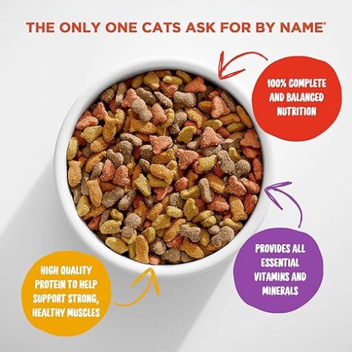 Indoor Cat Food