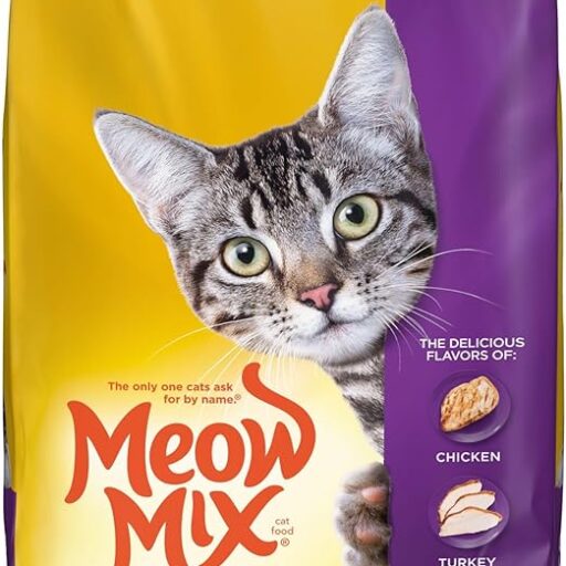 Indoor Cat Food